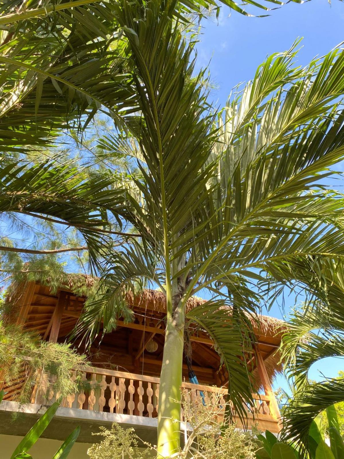 Palm Green Hotel Kuta  Екстер'єр фото